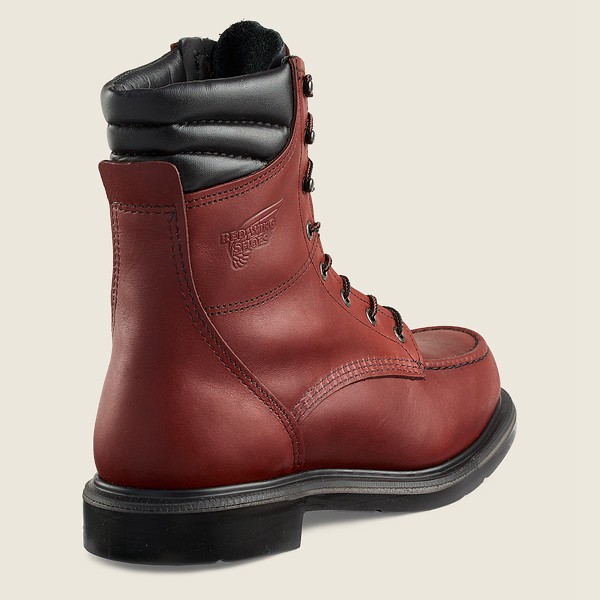 Red Wing Work Boots Burgundy - Mens Supersole® - 8-inch Soft Toe - 8902-COYVD